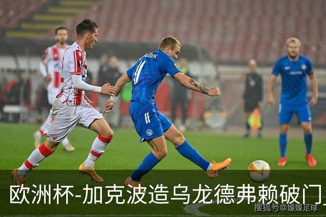 欧洲杯-加克波造乌龙德弗赖破门 荷兰2-1土耳其